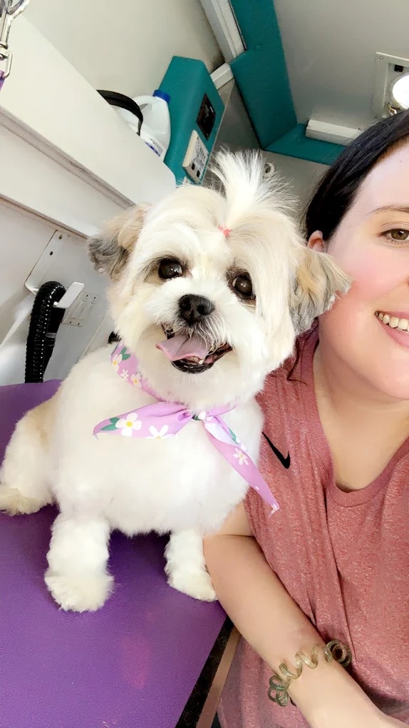 K9 Clip N Clean grooming photo